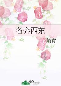 世界杯啦啦队员